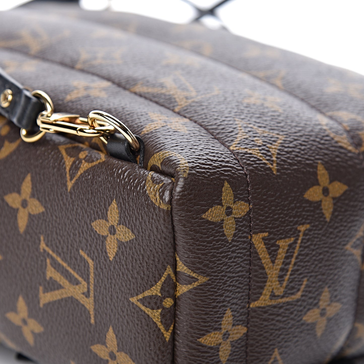 Monogram Palm Springs Backpack Mini