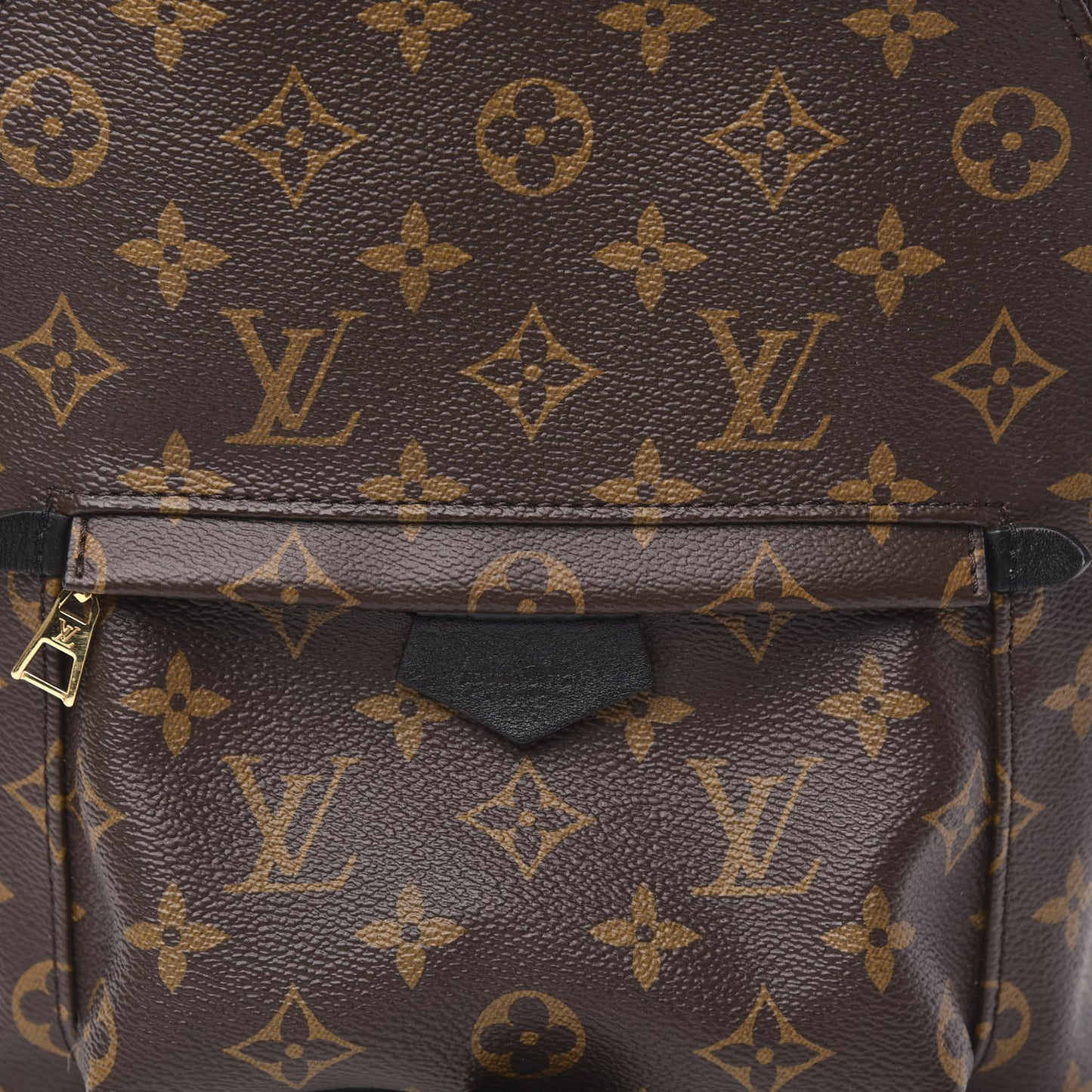 Monogram Palm Springs Backpack PM
