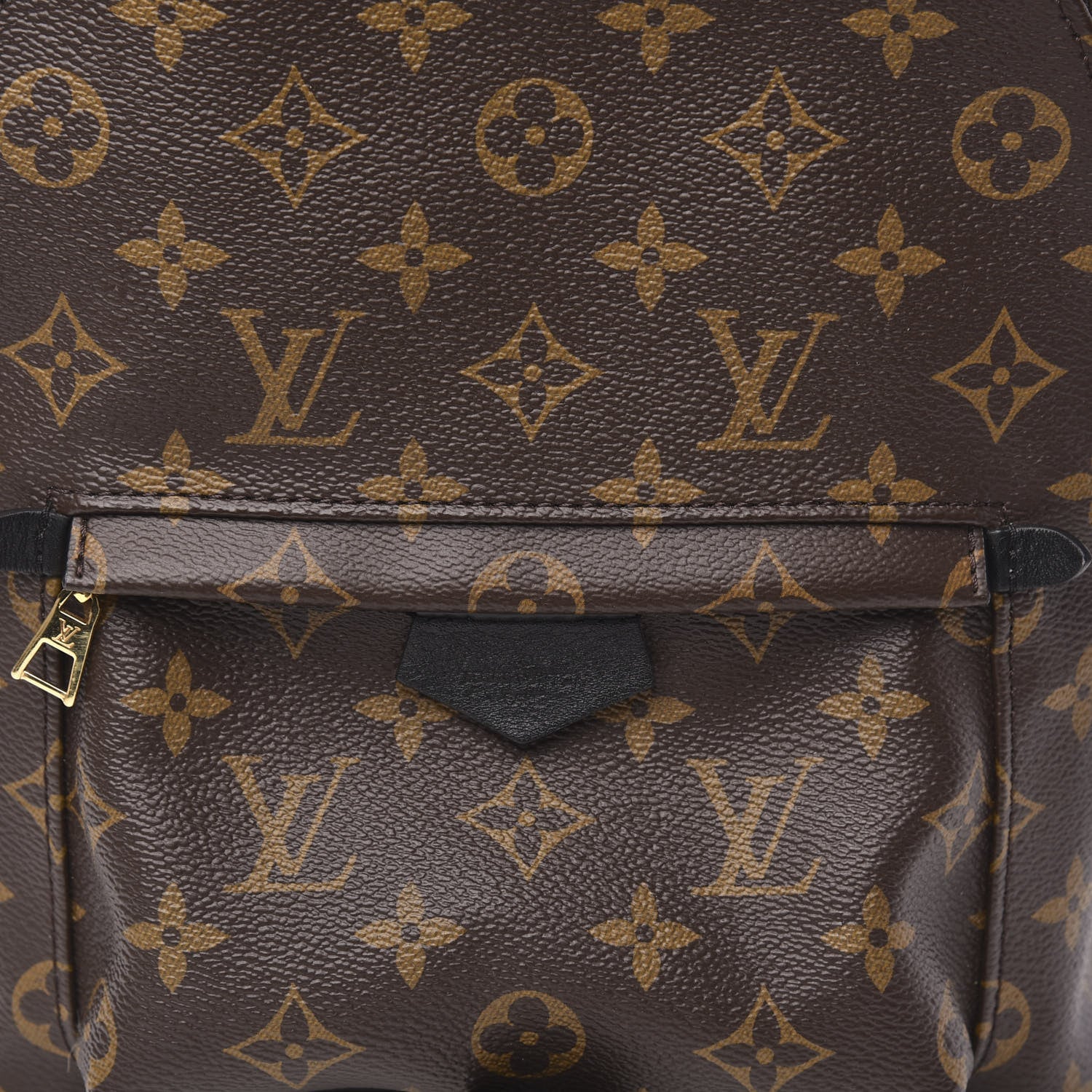 Louis Vuitton Monogram Palm Springs Backpack PM 9 of 9