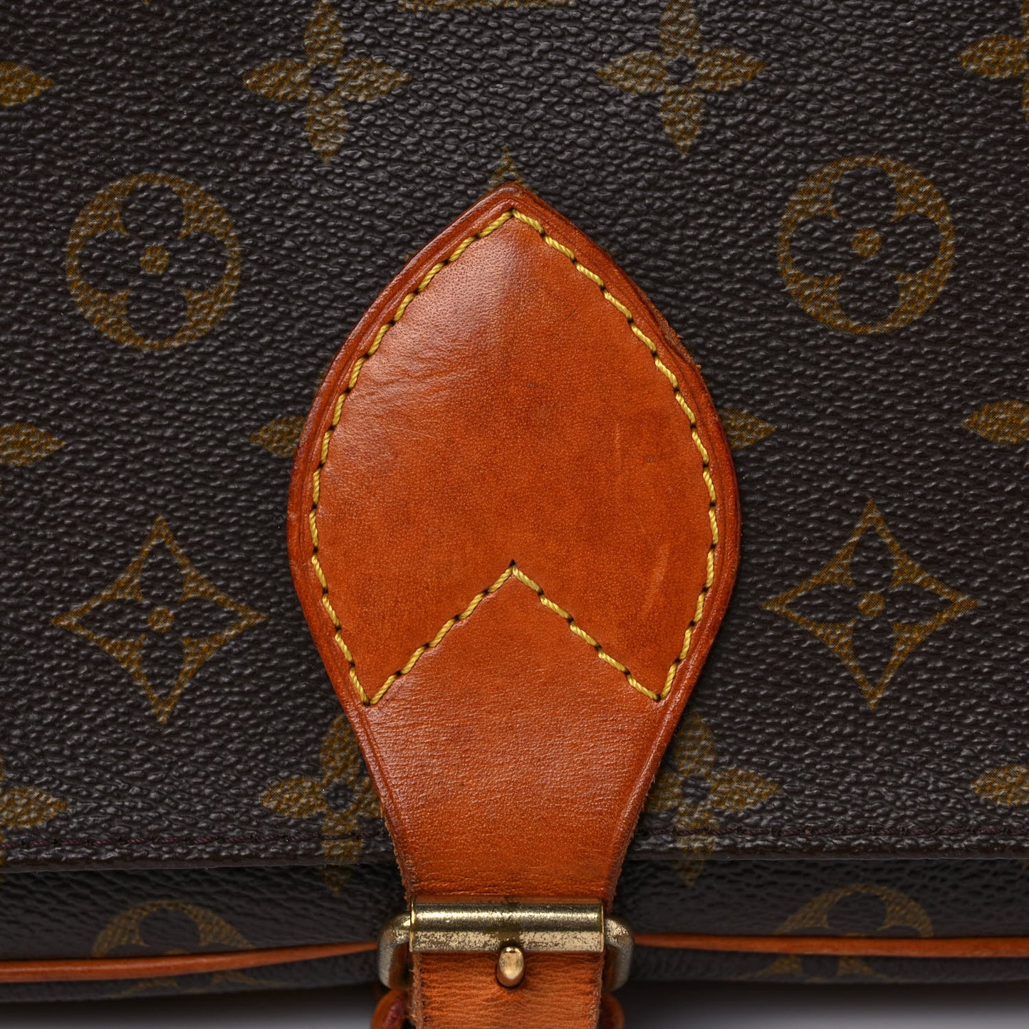 Monogram Cartouchiere 22