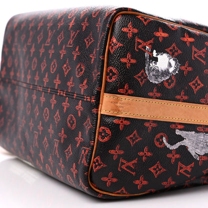 Louis Vuitton Catogram Speedy Bandouliere 30 Marron 9 of 16