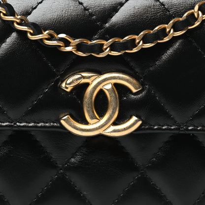 Chanel Calfskin Quilted Perfect Fit Coin Purse With Chain Black 9 of 12