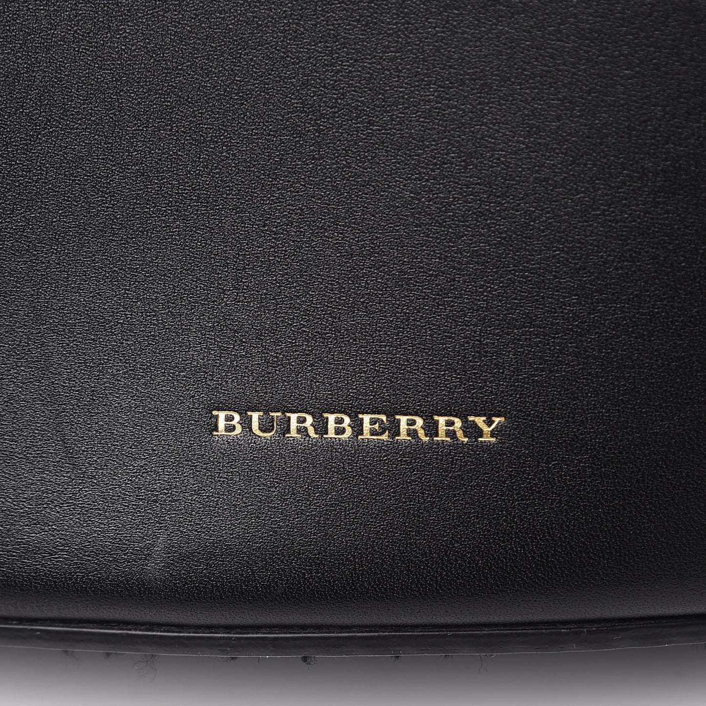 Supple Calfskin Medium Bucket Black