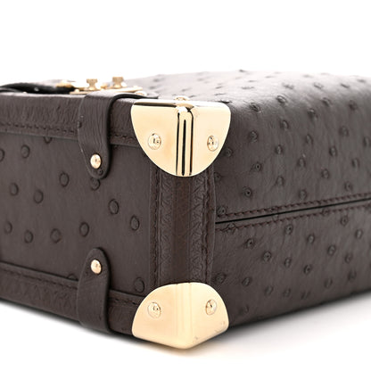 Louis Vuitton Ostrich Side Trunk MM Marron 8 of 10