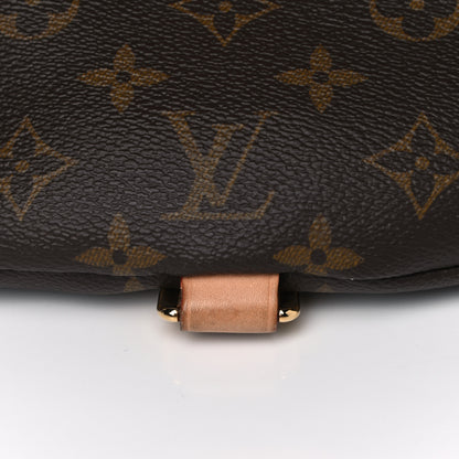 Louis Vuitton Monogram Bumbag 11 of 16