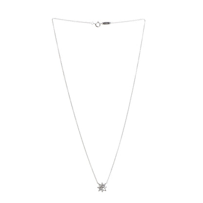 Tiffany Platinum Diamond Victoria Cluster Pendant Necklace 3 of 7