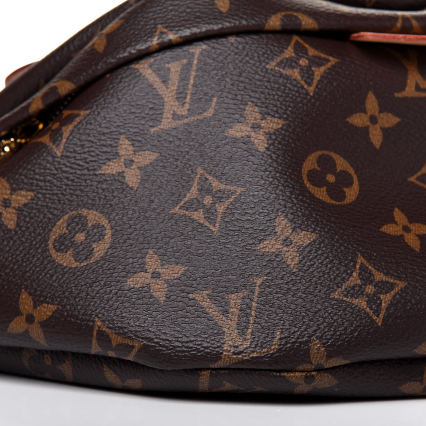 Monogram Bumbag