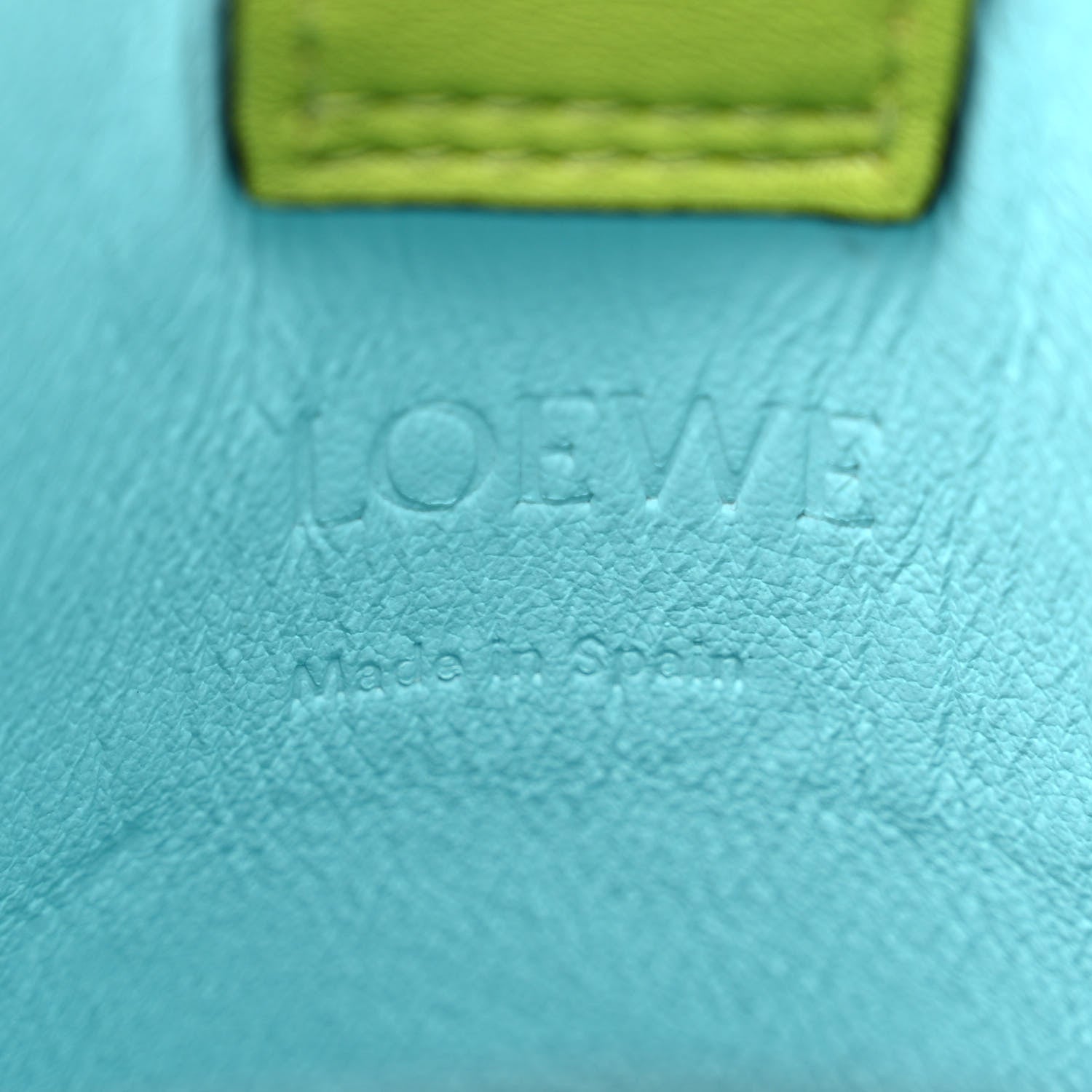 Loewe Calfskin Fringe Elephant Pouch Crossbody Bag Green 5 of 9