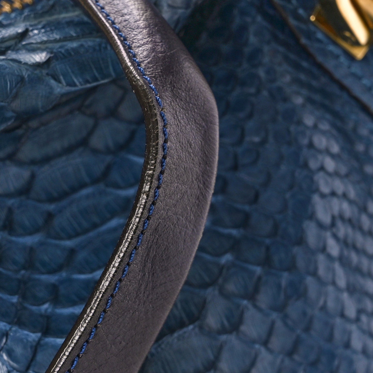 Snakeskin Medium Paraty Navy