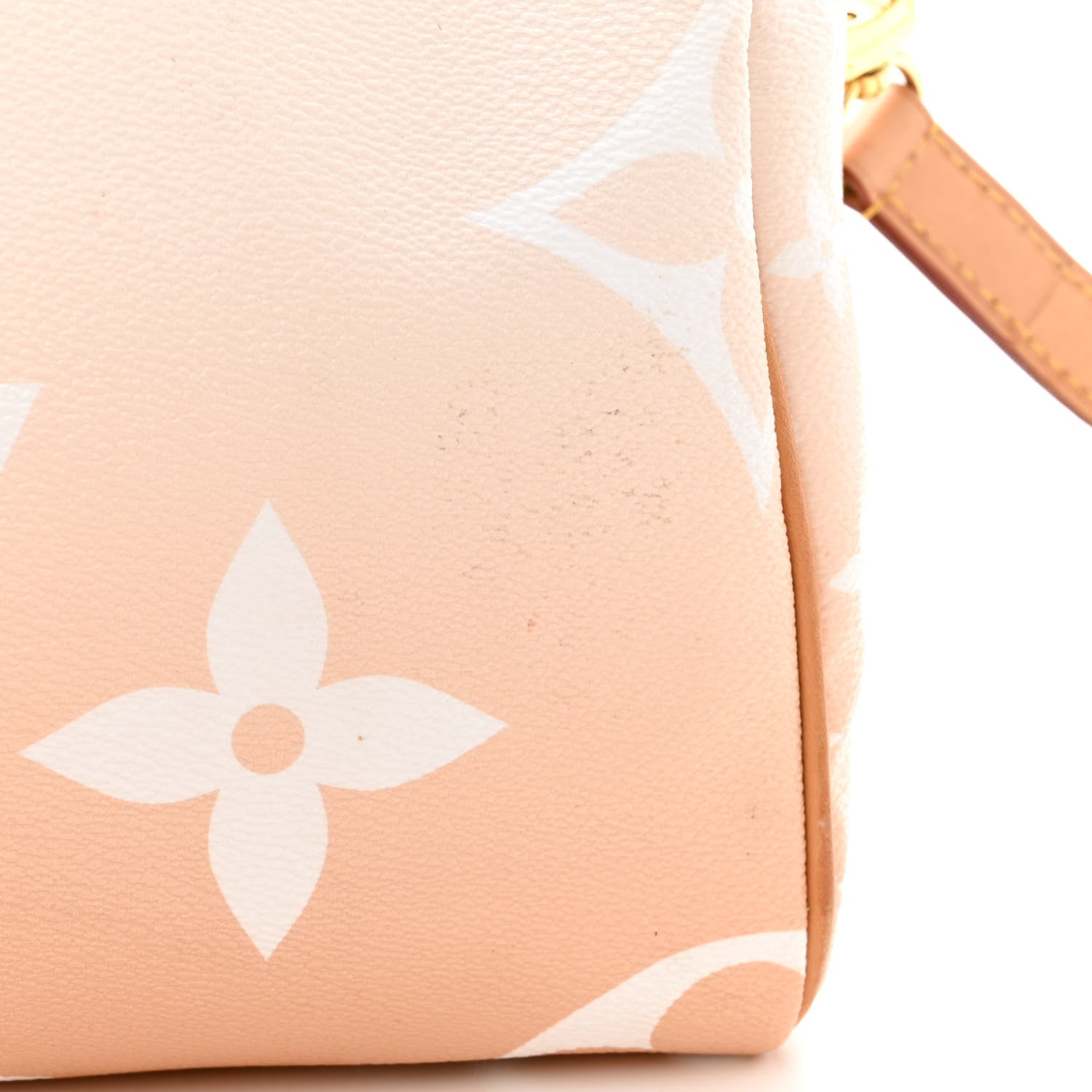 Louis Vuitton Monogram Giant By The Pool Speedy Bandouliere 25 Brume 14 of 19