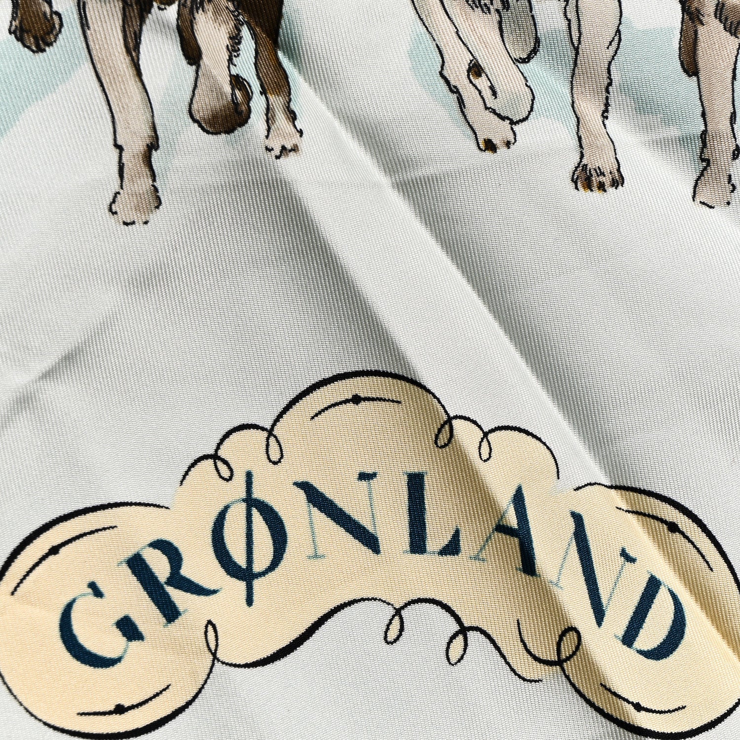 Hermes Silk Gronland Scarf 90 5 of 7