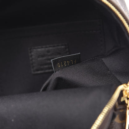 Louis Vuitton Monogram Palm Springs Backpack Mini 6 of 9