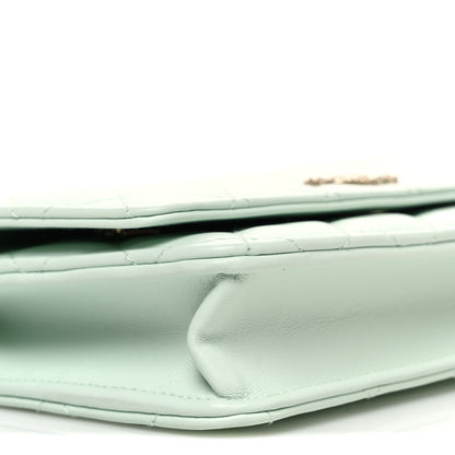 Chanel Lambskin Quilted Textured CC Wallet On Chain WOC Light Green 9 of 11