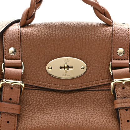 Mulberry Heavy Grain Mini Alexa Chestnut 7 of 9