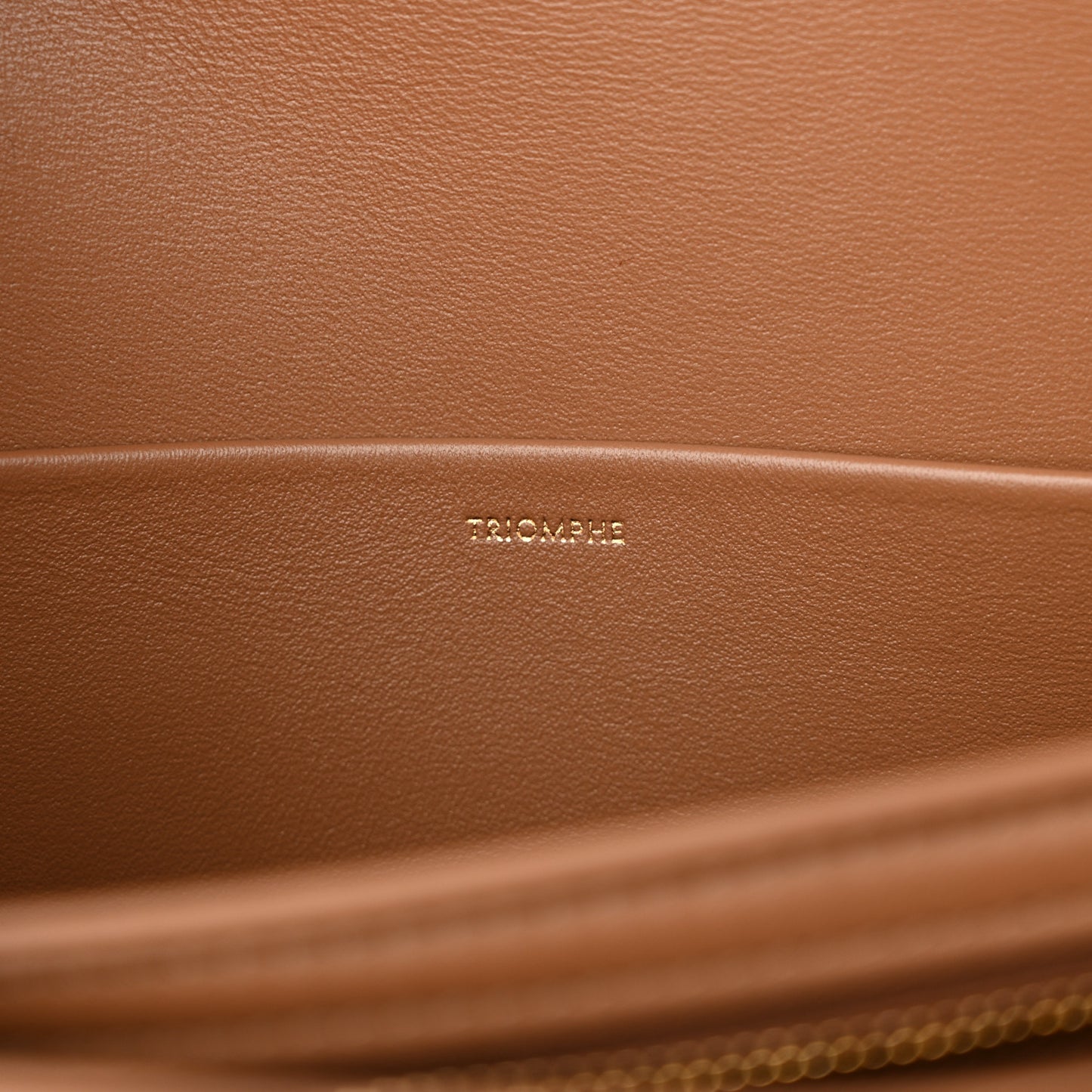Shiny Calfskin Medium Triomphe Bronze