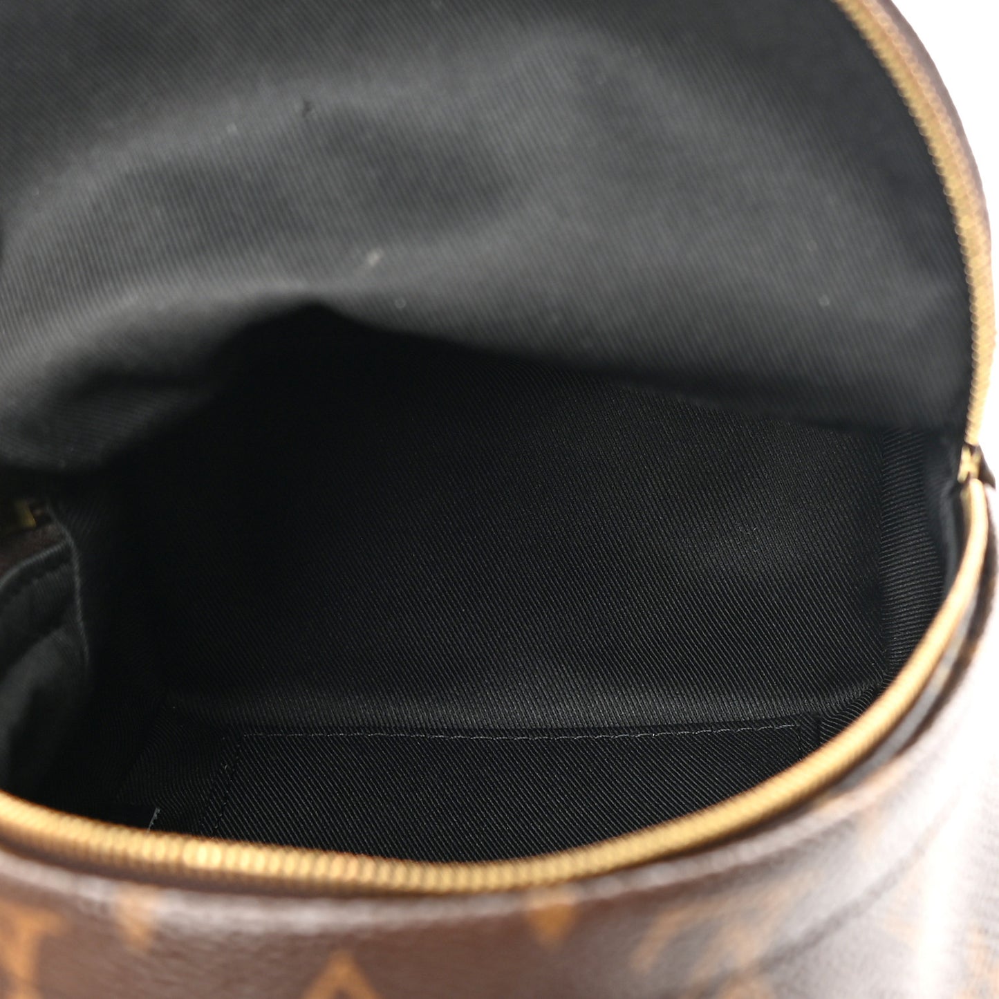 LOUIS VUITTON Monogram Palm Springs Backpack Mini