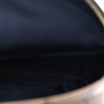 Louis Vuitton Reverse Monogram Palm Springs Backpack Mini 5 of 10