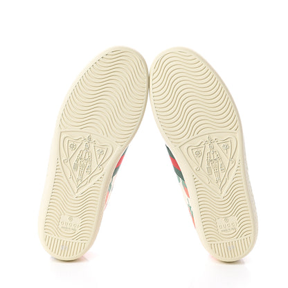 Gucci Calfskin Web Strawberry Print Womens Ace Sneakers 35.5 Ivory Red Green 7 of 7