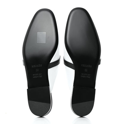 Hermes Lizard Calfskin Oz Mules 39 Ombre 5 of 9