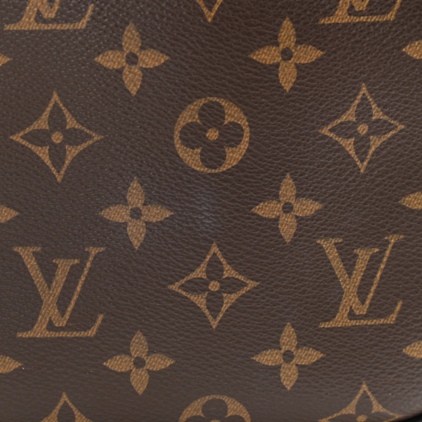 Monogram Macassar Christopher Wearable Wallet