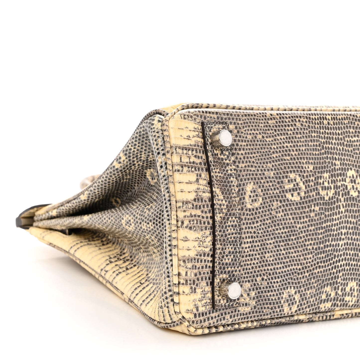 Lizard Birkin 25 Ombre