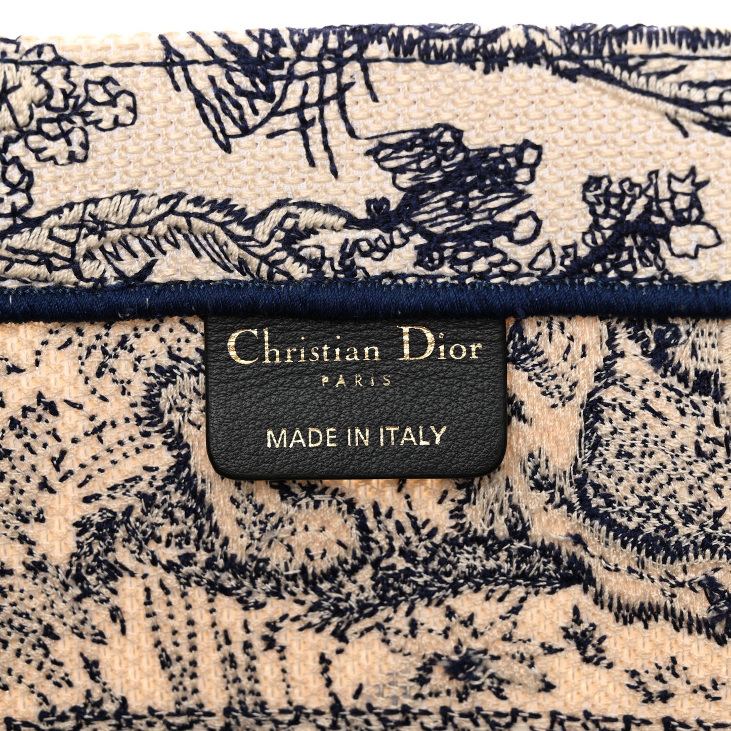 Canvas Embroidered Medium Dioriviera Toile De Jouy Book Tote Blue