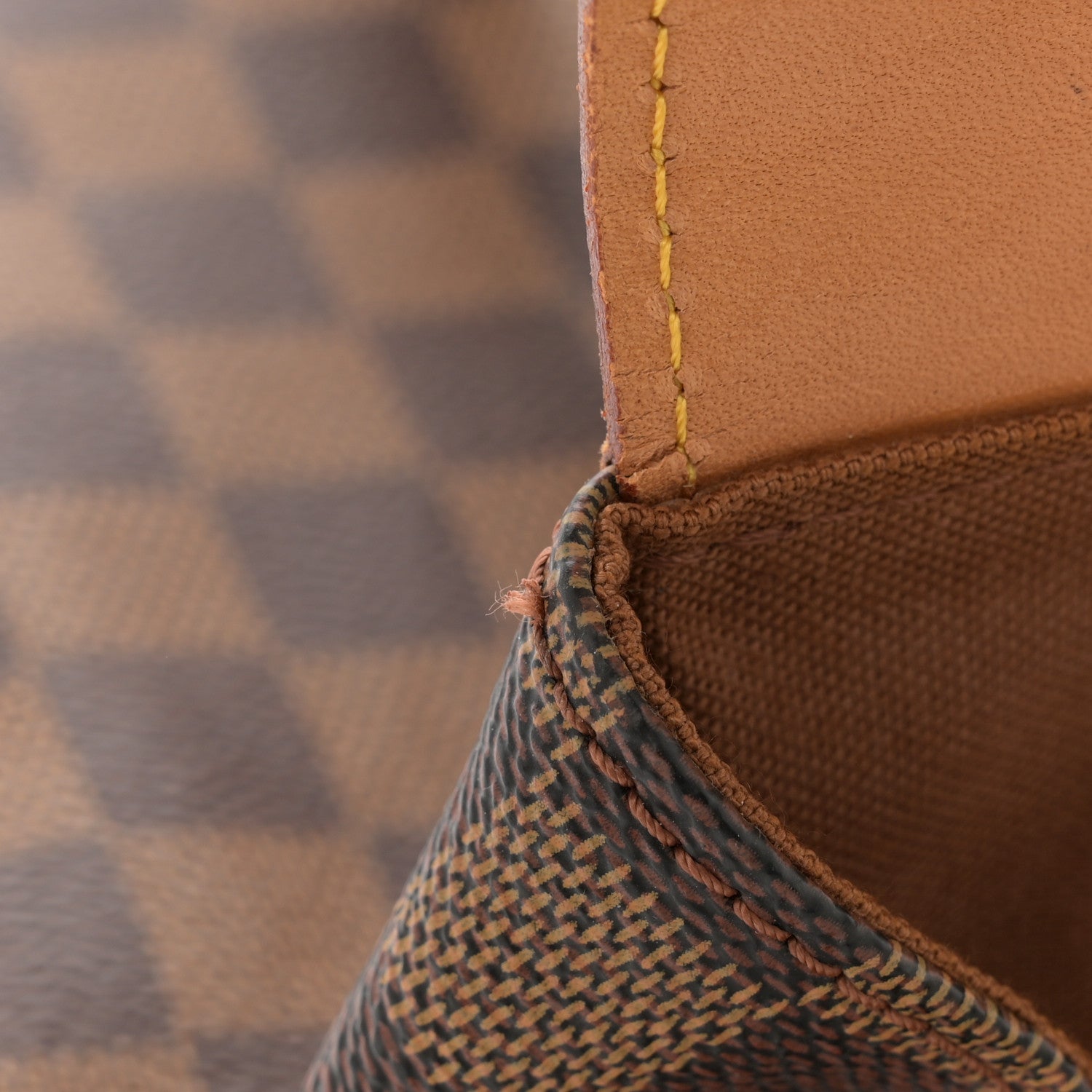Louis Vuitton Damier Ebene Soho Centenaire Backpack 12 of 18