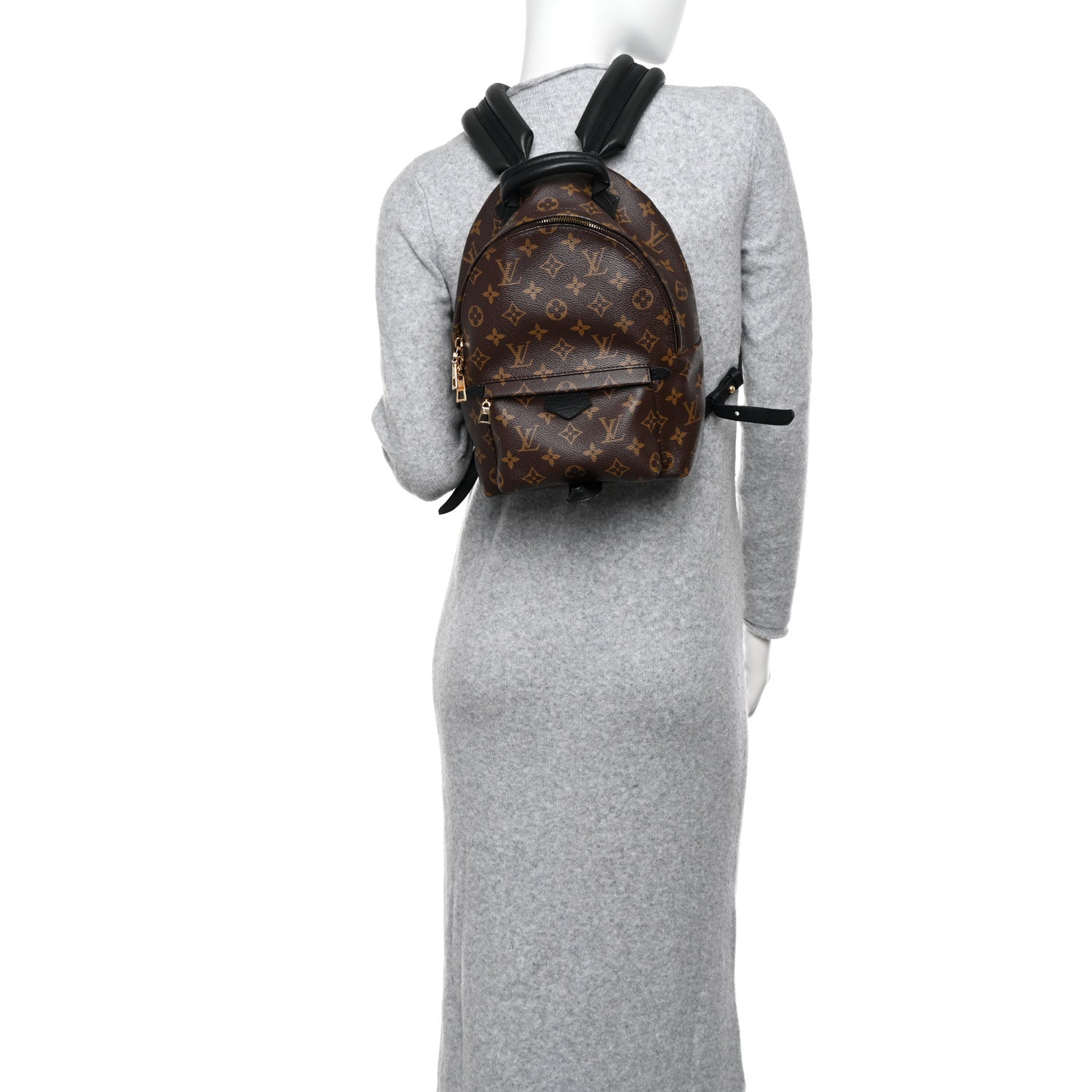 Louis Vuitton Monogram Palm Springs Backpack PM 2 of 12