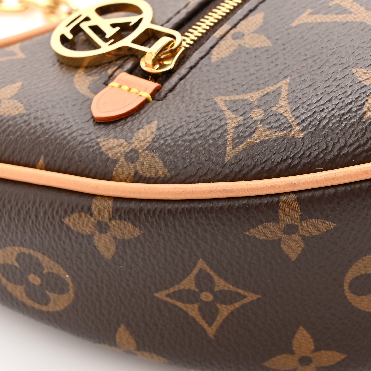 Louis Vuitton Monogram Loop 11 of 12