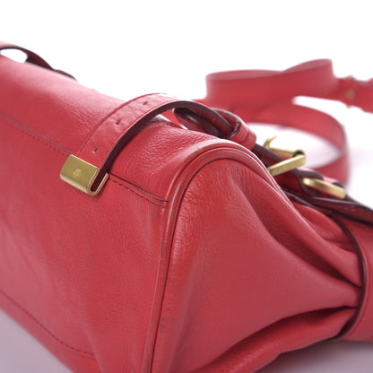 Mulberry Soft Buffalo Mini Alexa Watermelon 12 of 14