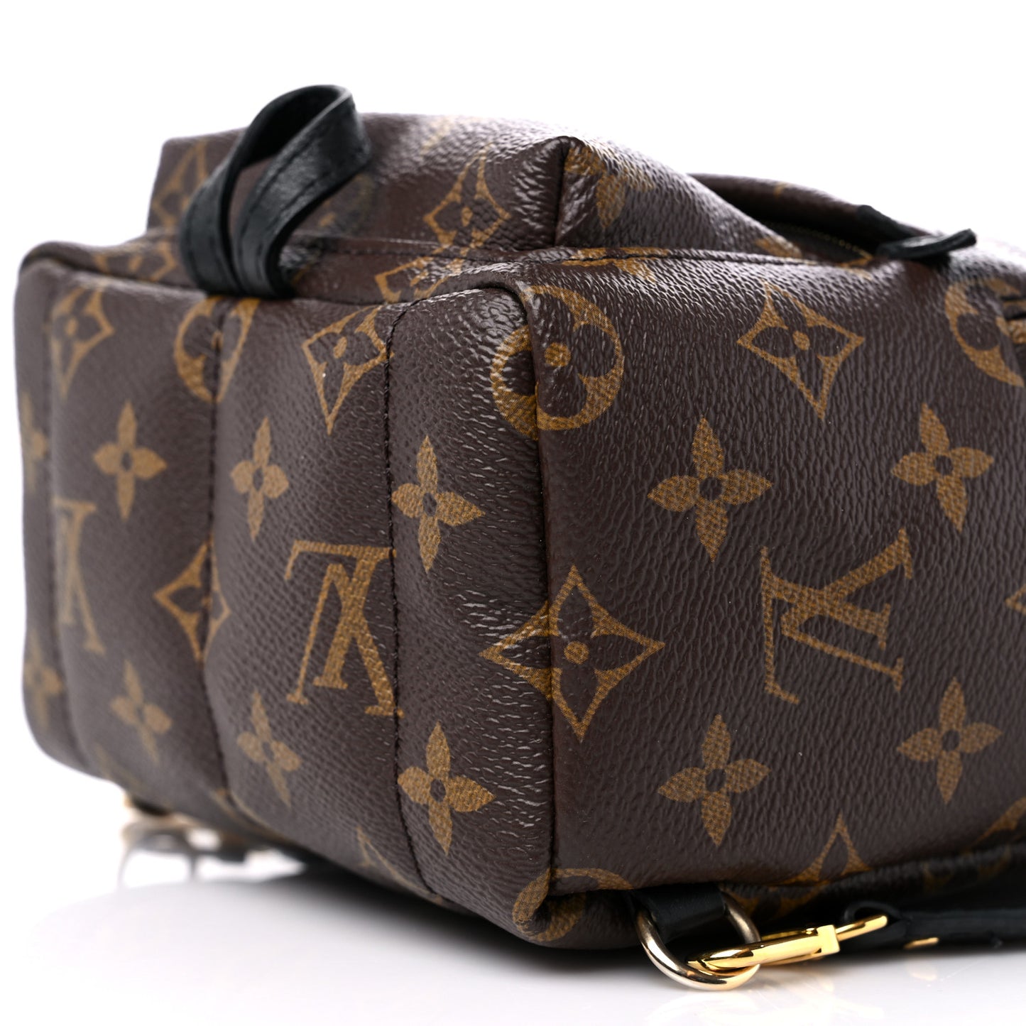 Monogram Palm Springs Backpack Mini