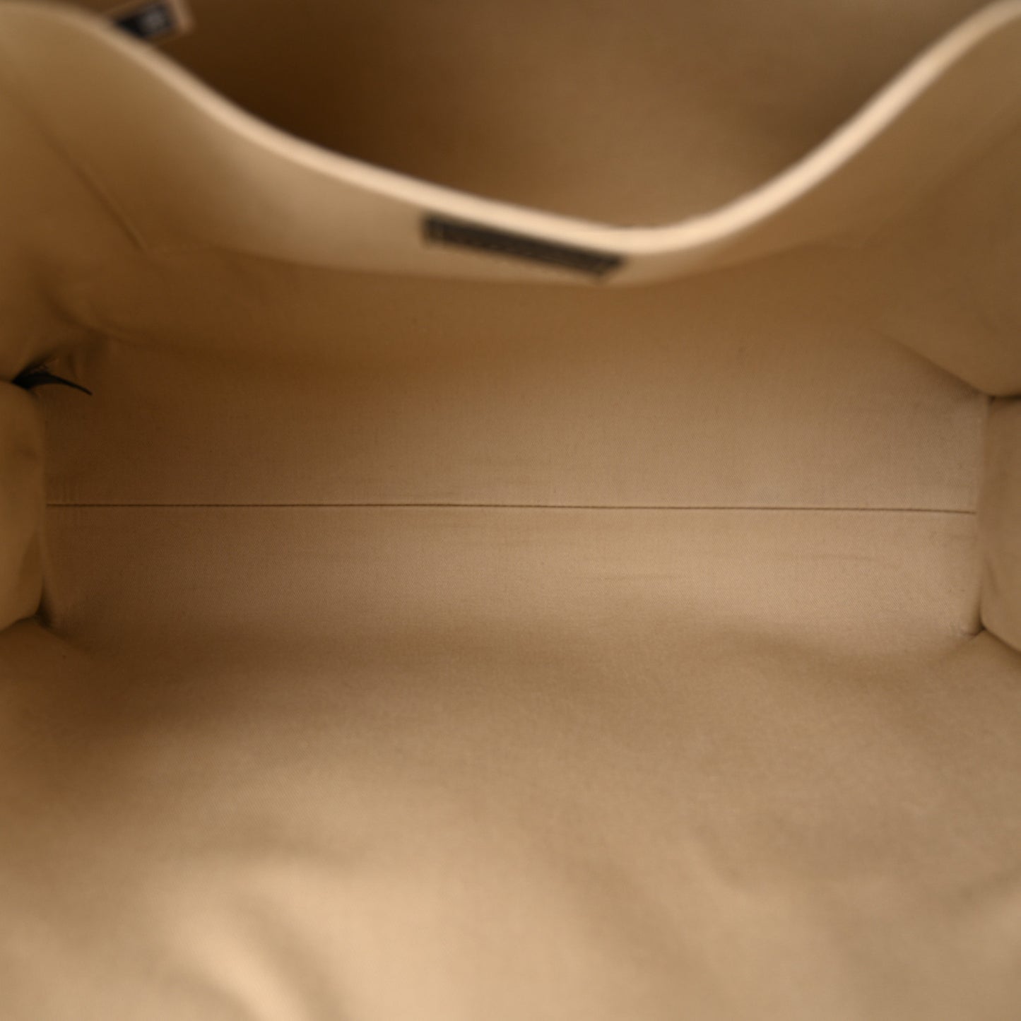 Cotton Calfskin Large Woody Ribbon Tote White Blue