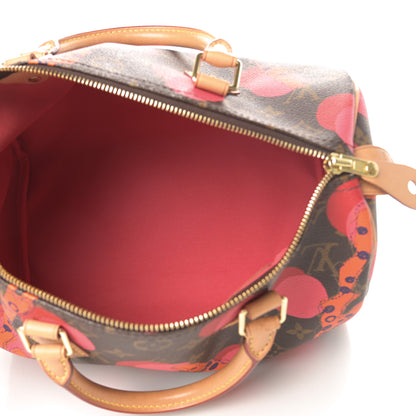 Louis Vuitton Monogram Ramages Speedy 30 Grenade 5 of 14