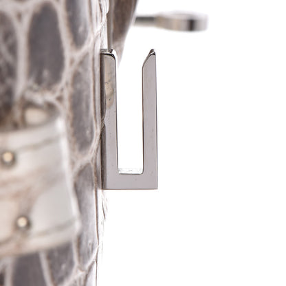 Hermes Matte Niloticus Crocodile Himalaya Birkin 30 Blanc 21 of 49