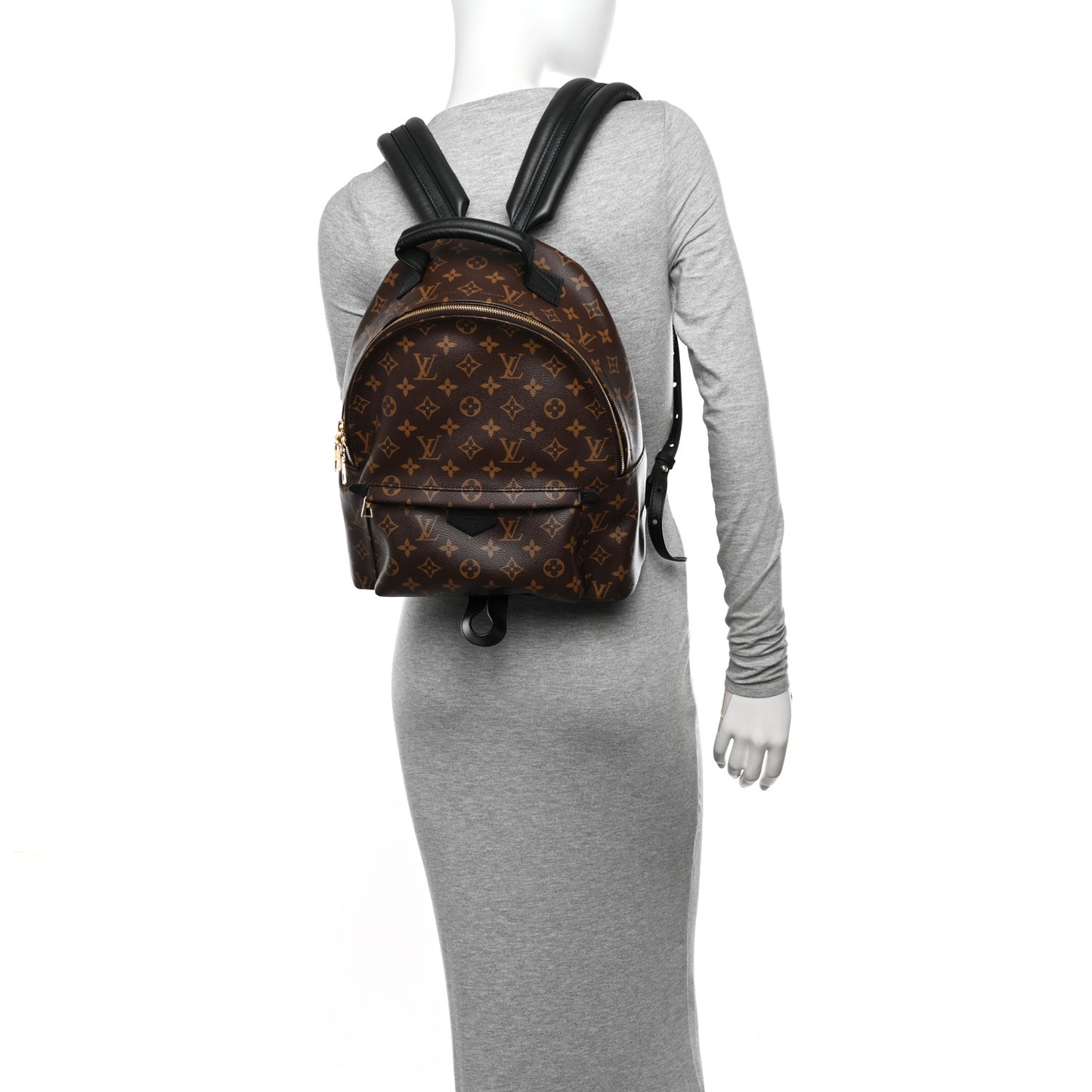 Monogram Palm Springs Backpack MM
