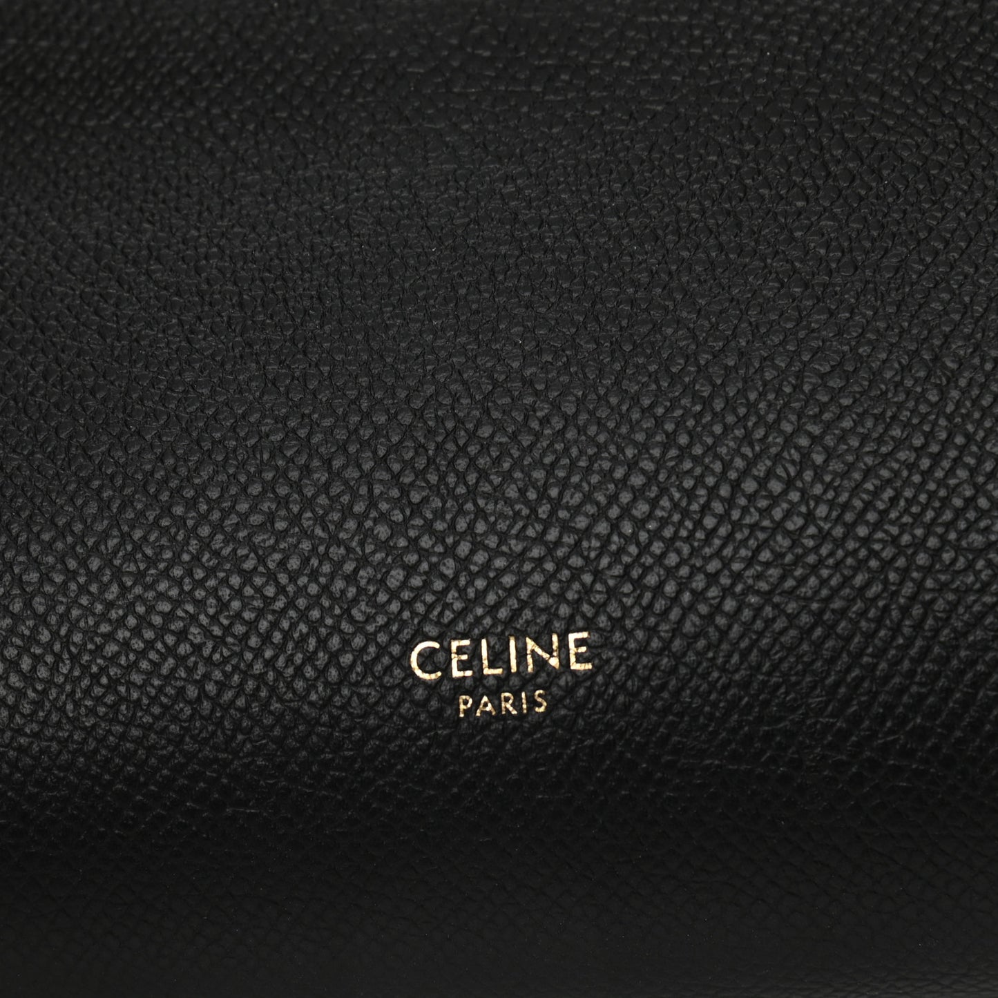 Grained Calfskin Nano Belt Bag Black