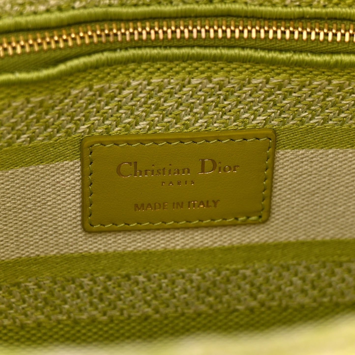 Canvas Toile De Jouy Reverse Embroidered Medium Lady D-Lite Green
