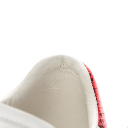 Gucci Calfskin Ayers Web Star Embroidered Womens Ace Sneakers 38 White Multi 12 of 14