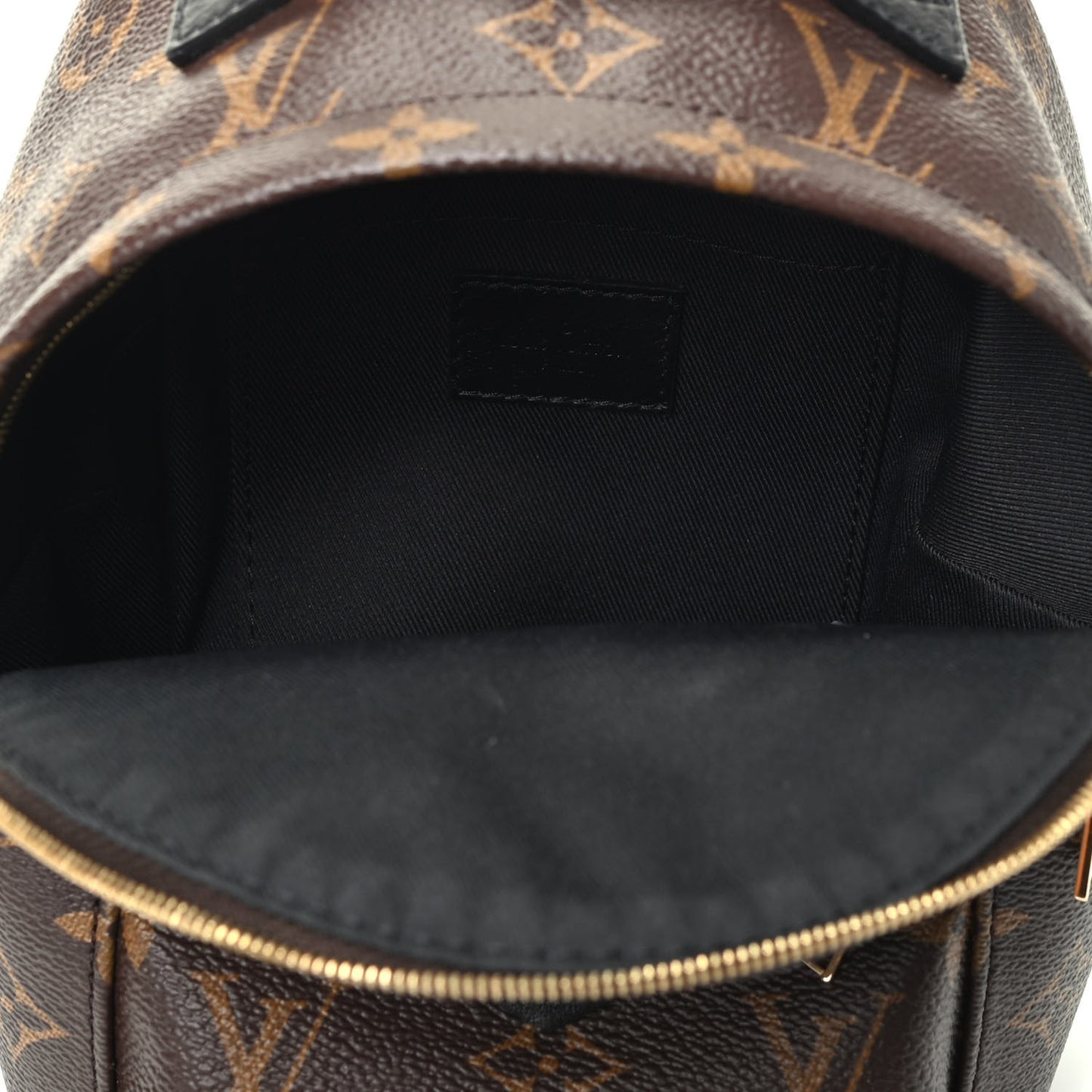 Monogram Palm Springs Backpack Mini