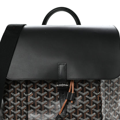 Goyard Goyardine Calfskin Alpin MM Backpack Black 8 of 11