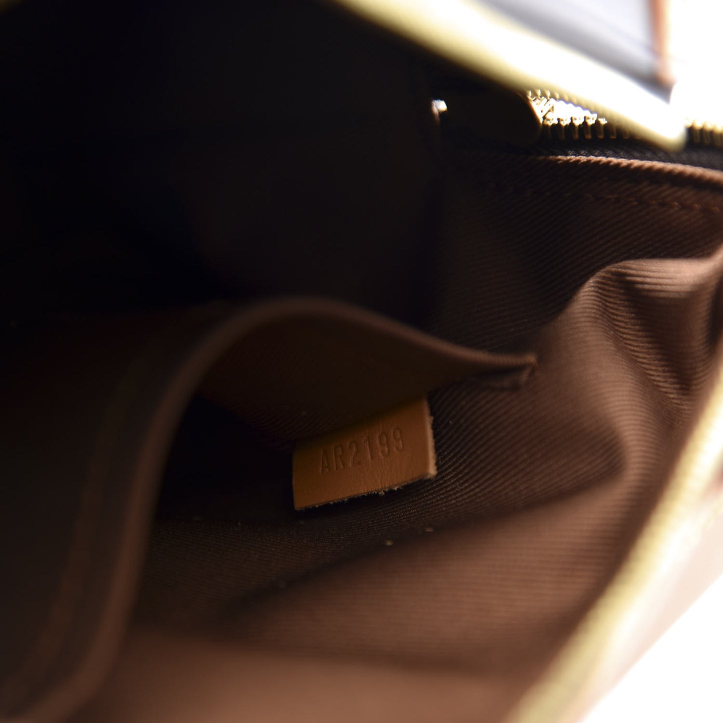 Monogram Soft Trunk