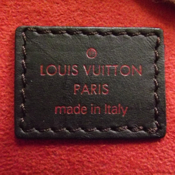 Louis Vuitton Damier Sauvage Lionne Handbag 8 of 9