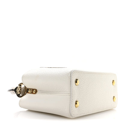 Louis Vuitton Taurillon Ayers Capucines Mini White Snow White 4 of 10