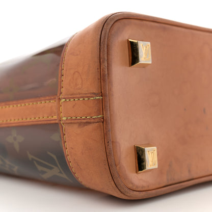 Louis Vuitton Vinyl Cabas Ambre PM 8 of 11