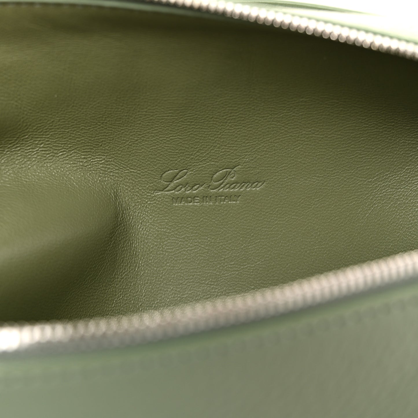 Grained Calfskin L19 Extra Pocket Pouch Sage Brush Leaves