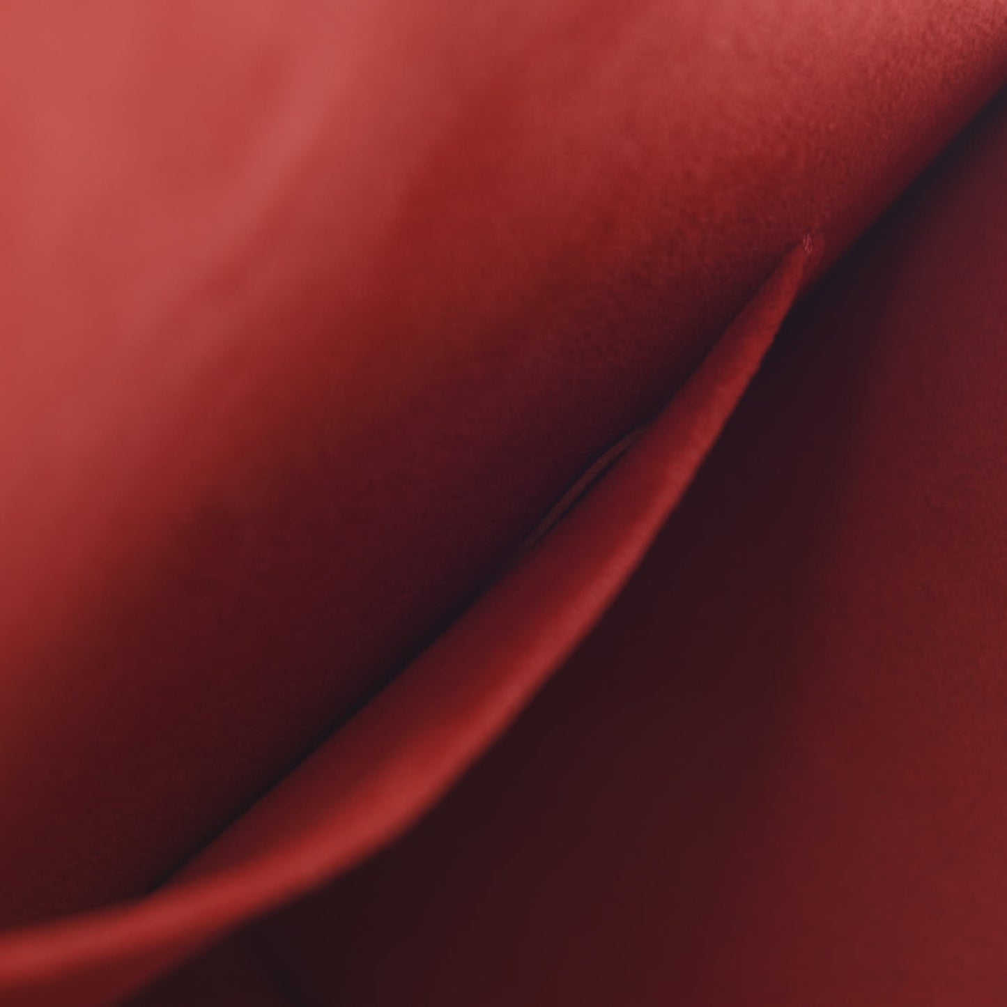 Epi Neo Monceau Black Coquelicot Blue Roi Safran