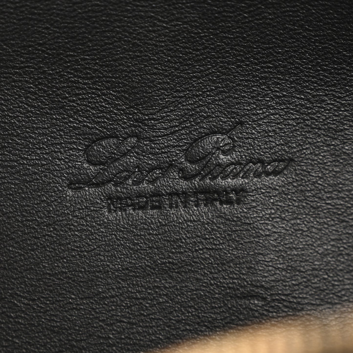 Grained Calfskin L19 Extra Pocket Pouch Black