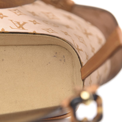 Louis Vuitton Vinyl Cabas Ambre PM 16 of 16