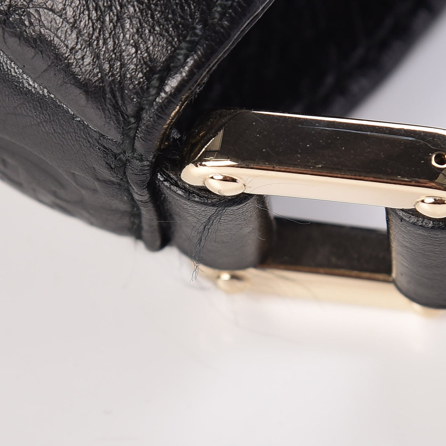 Guccissima Large New Ladies Web Hobo Black