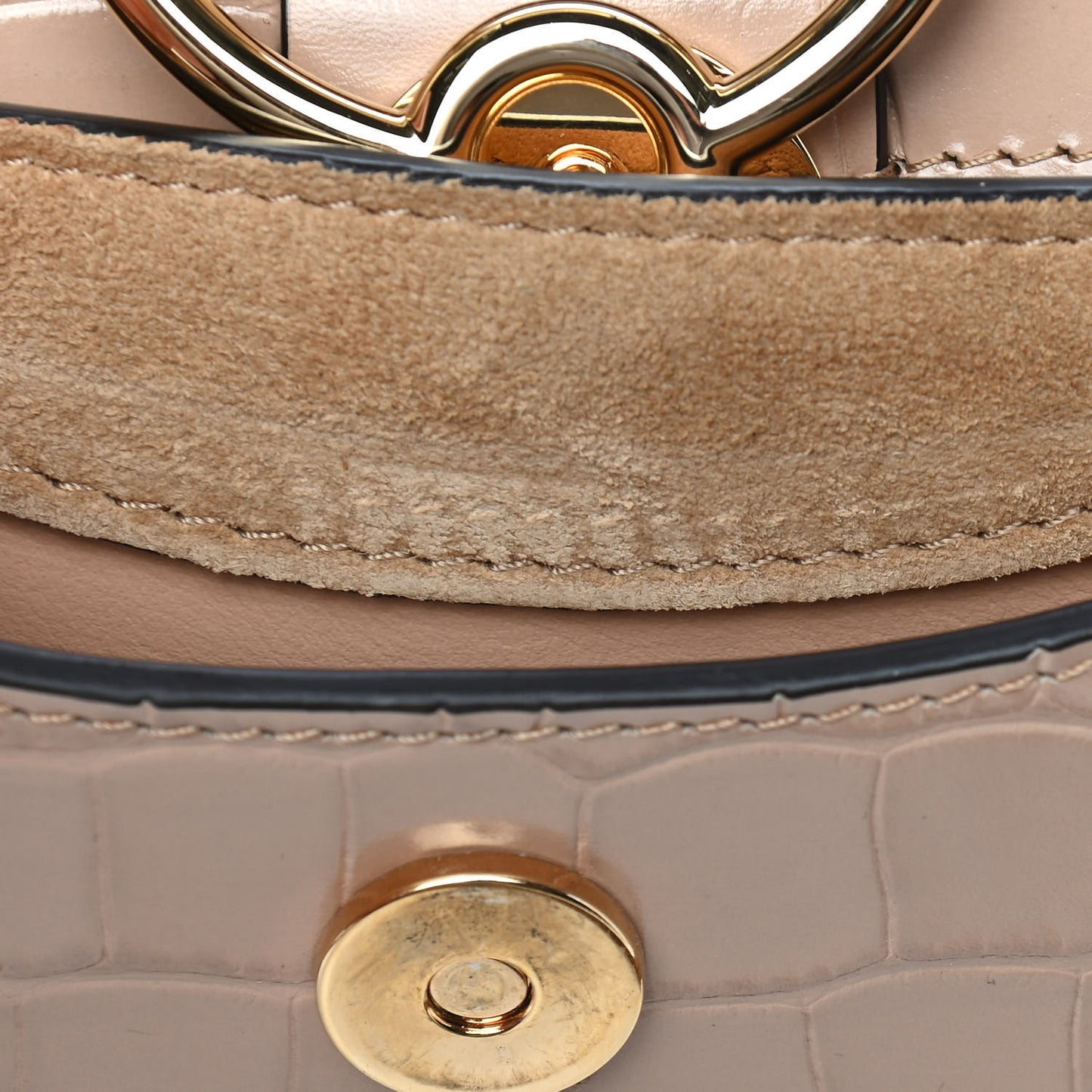 Calfskin Crocodile Embossed Small Tess Bag Nut